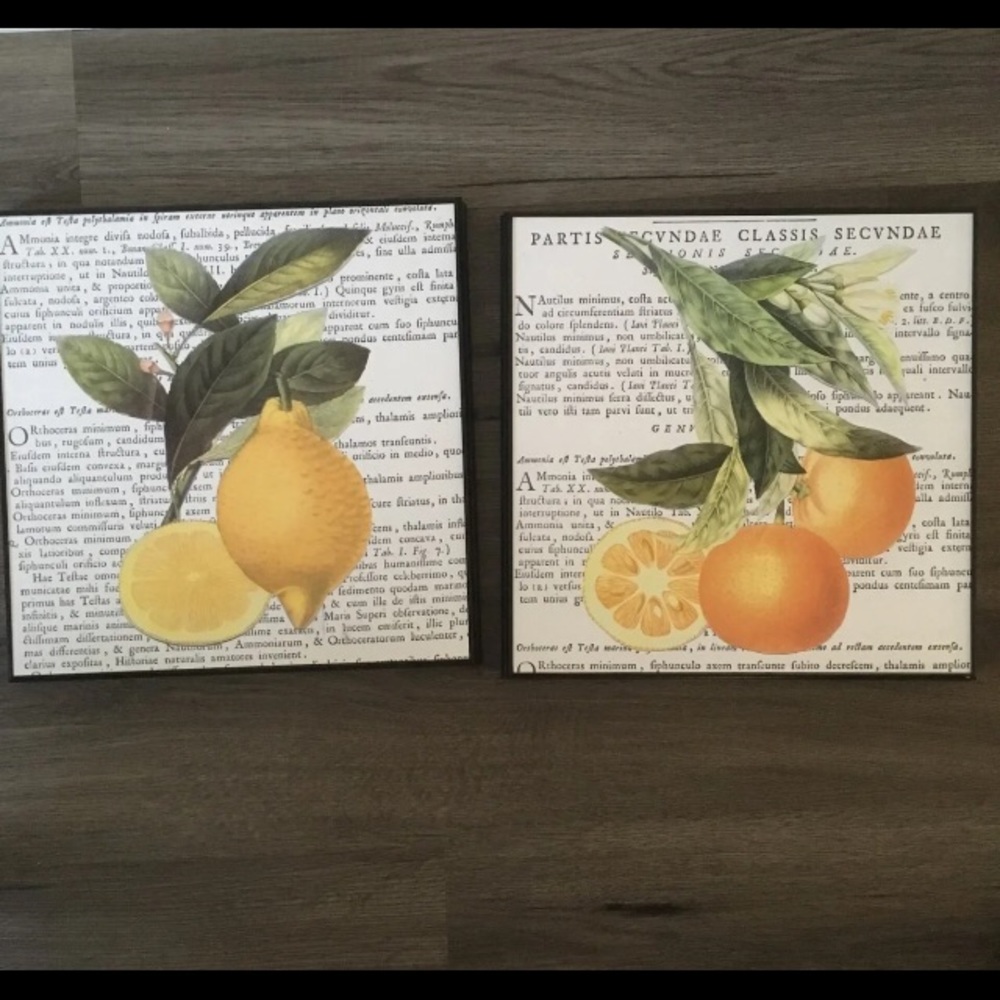 Lemon and Orange Wall Art
